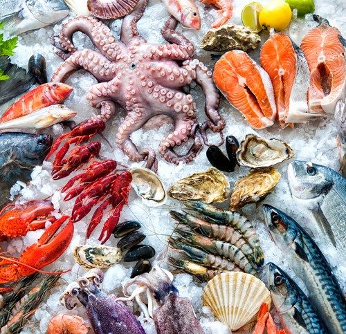 SEA & DRY FISH